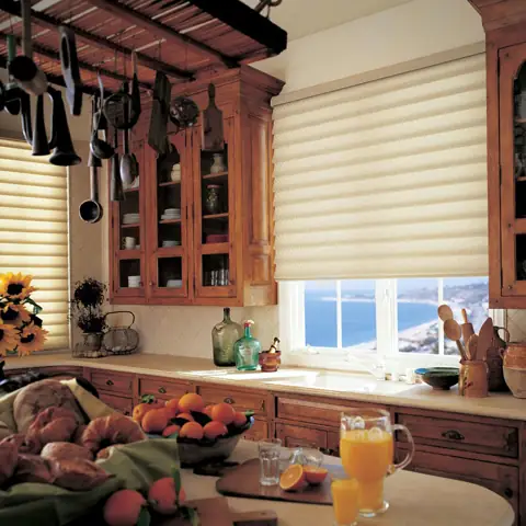 Roman Shades photo 7 of 20